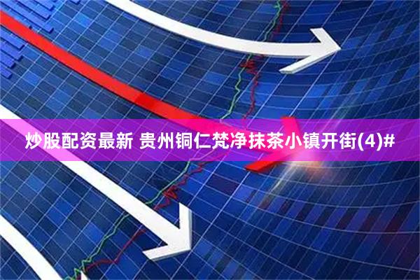 炒股配资最新 贵州铜仁梵净抹茶小镇开街(4)#